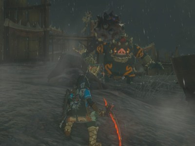 Tears Of The Kingdom Health Points Guide