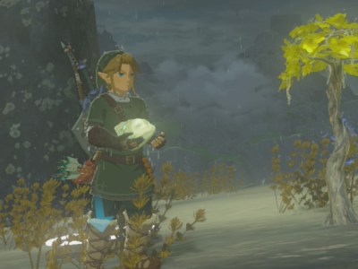 Tears Of The Kingdom Light Dragon Fang Guide