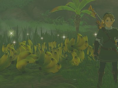 Tears Of The Kingdom Mighty Banana Guide