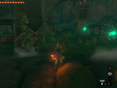 Tears Of The Kingdom Beast And Princess Featured