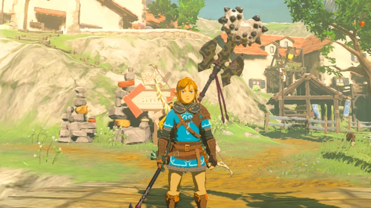 Tears Of The Kingdom Hylian Hood Link Lowered