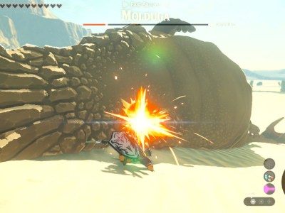 Tears Of The Kingdom Molduga Fight