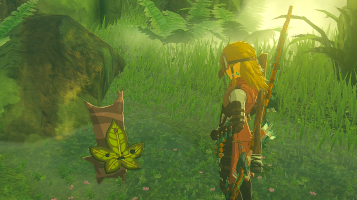 Tears Of The Kingdom Swirly Whirly Things