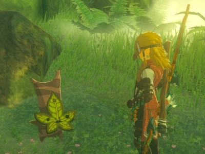 Tears Of The Kingdom Swirly Whirly Things