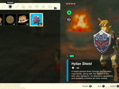 Where To Find The Hylian Shield In Tears Of The Kingdom