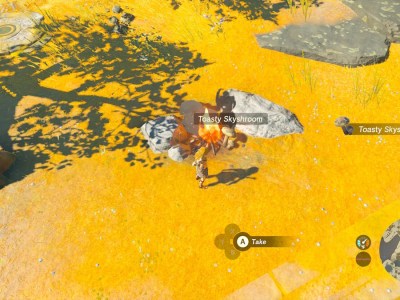 Zelda Tears Of The Kingdom Cooked Food (2)