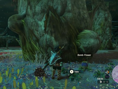 Zelda Tears Of The Kingdom Farm Bomb Flowers