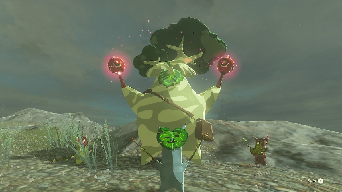 How To Increase Inventory Space Tears Of The Kingdom Hestu Dancing