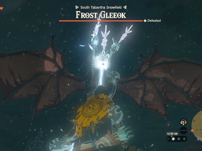 Tears Of The Kingdom Frost Gleeok Ice Beam