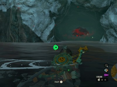 Totk Apapes Lightroot Hyrule Castle Moat East Chasm Location Map