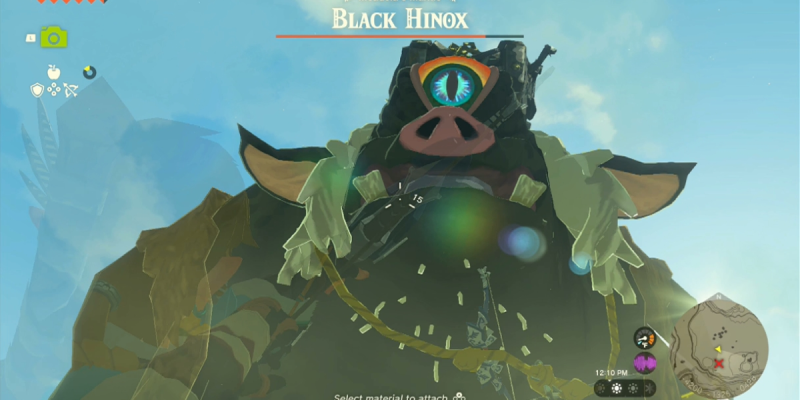 Totk Black Hinox Extreme Closeup