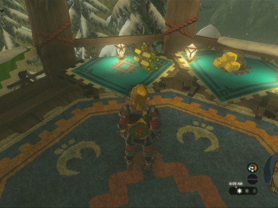 Totk Cane Sugar At Slippery Falcon General Store In Rito Village