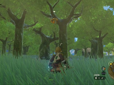 Totk Courser Bee Honey In Hickaly Woods Tree Branches