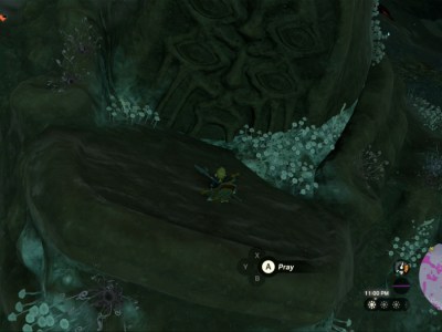 Totk Dark Clump Plains Bargainer Statue Closeup