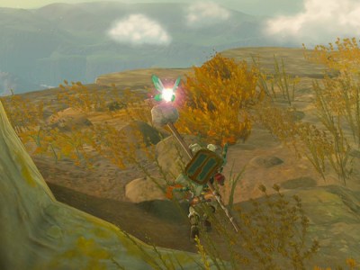 Totk Fairy Catching On Bravery Island