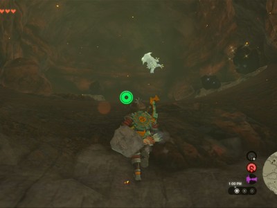 Totk Gorko Tunnel Bubbulfrog Chamber