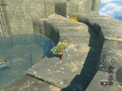 Totk Hearty Bass Swimming In Pool On Sky Island