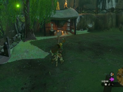 Totk Lasli In Kakariko Village