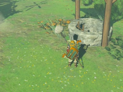 Totk Link Staring Down A Well With A Ladder