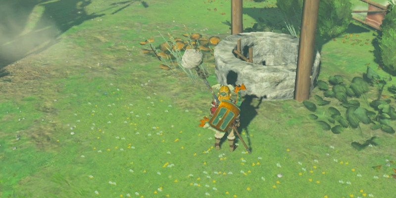 Totk Link Staring Down A Well With A Ladder