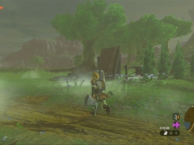 Totk Piper Tree From A Distance