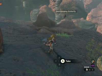 Totk Smotherwing Butterfly Farming In Eldin Canyon Near Hot Springs