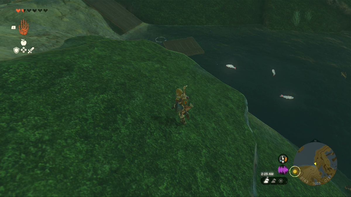Totk Stealthfin Trout Swimming In Water South Of Great Hyrule Forest