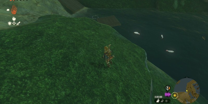 Totk Stealthfin Trout Swimming In Water South Of Great Hyrule Forest