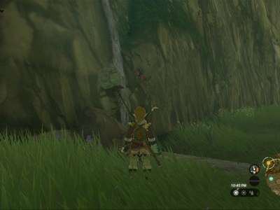 Totk Sticky Frog On Canyon Wall Near Kakariko Village