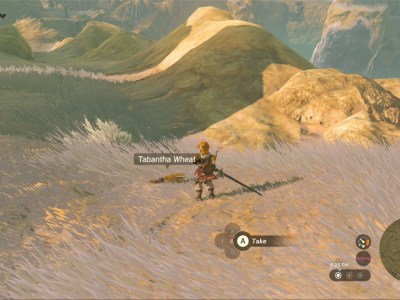 Totk Tabantha Wheat Farming On Cuho Mountain