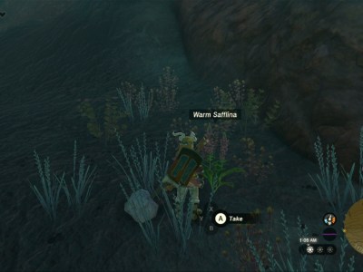 Totk Warm Safflina Closeup