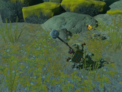 Totk Wild Green Sundelion Growing In Brush Closeup At Night