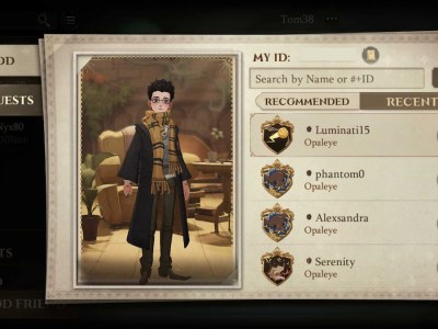 Add Friend Harry Potter Magic Awakened