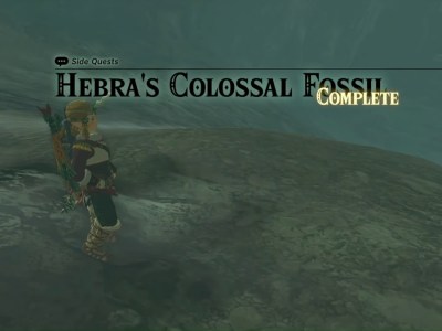 Hebra's Colassal Fossil Zelda Tears Of The Kingdom (totk)