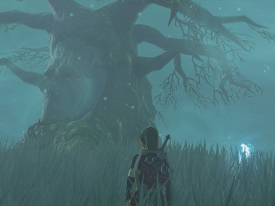 A screenshot of The Legend of Zelda: Tears of the Kingdom. Link is stood at the tree in the center of Lake Saria, which contains a bow in a treasure chest