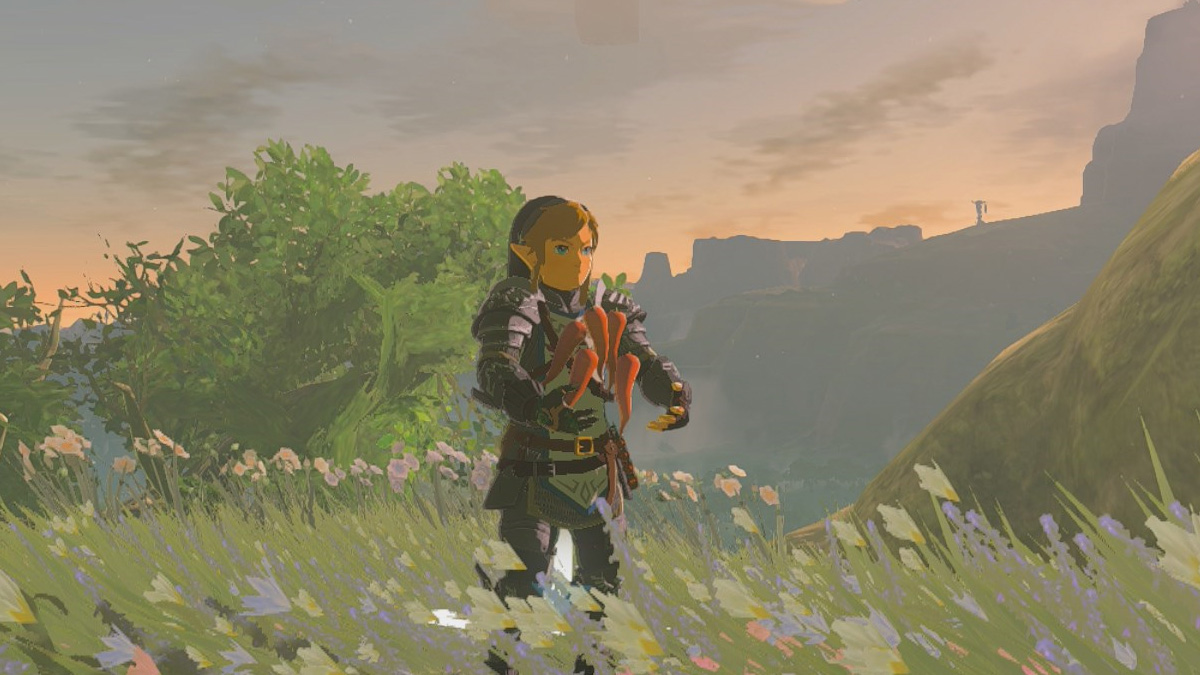 Tears Of The Kingdom Swift Carrot Guide