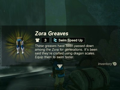 Tears Of The Kingdom A Token Of Friendship