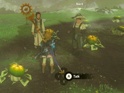 Tears Of The Kingdom Homegrown In Hateno Featured