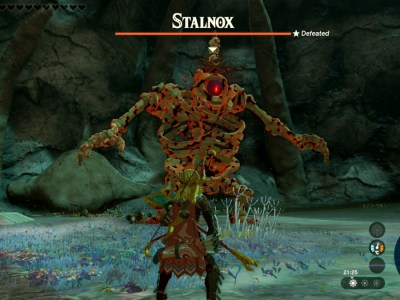 Tears Of The Kingdom Stalnox