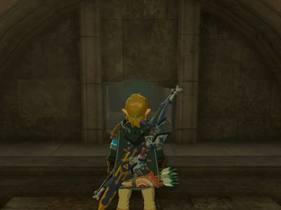 Tears Of The Kingdom Who Goes There Hole