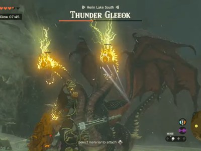 Thunder Gleeok Zelda Tears Of The Kingdom (totk)