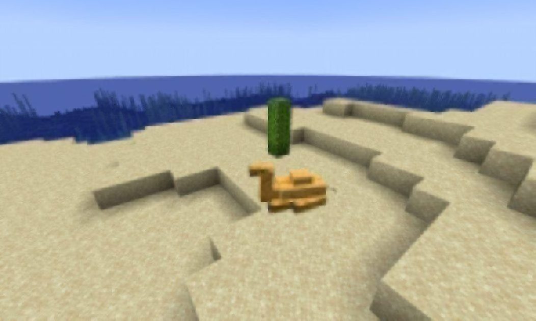 What do Camels eat in Minecraft?