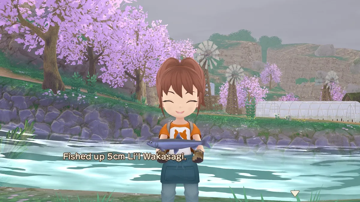 How To Fish In Story Of Seasons A Wonderful Life