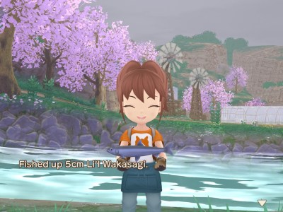 How To Fish In Story Of Seasons A Wonderful Life