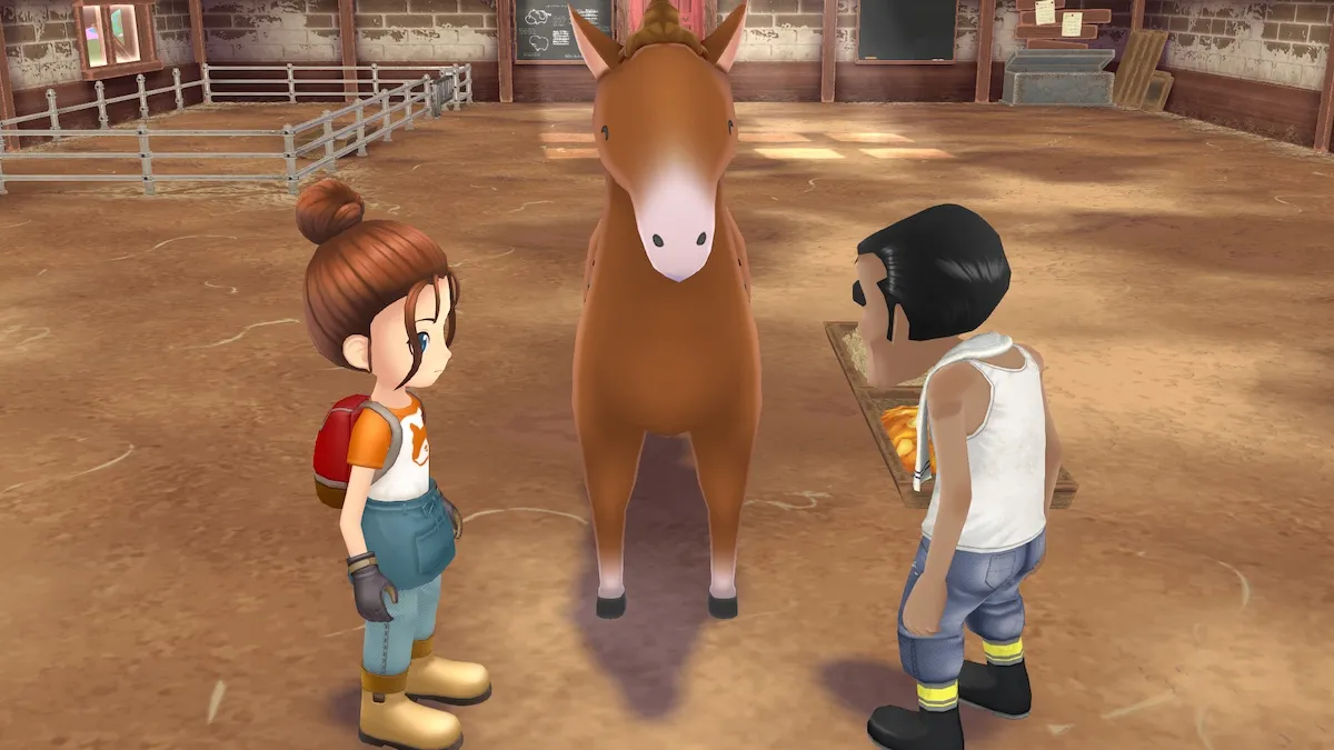 How To Get A Horse In Story Of Seasons A Wonderful Life