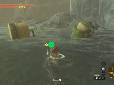Tears Of The Kingdom Korok Cork Dueling Peaks Water