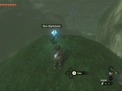 Totk Blue Nightshade Hilltop Over Kakariko Village