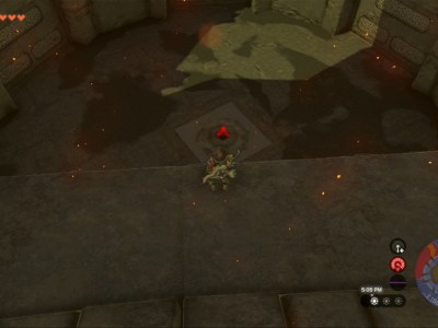 Totk Coliseum View From On Upper Wall