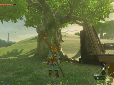 Totk Feathered Fugitives Cucco In A Tree Near Construction Parts