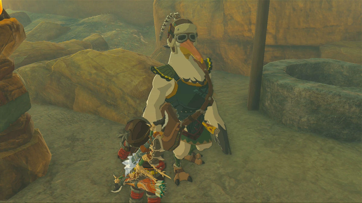 How to clear the Gerudo Canyon Stable well in Tears of the Kingdom (TotK)